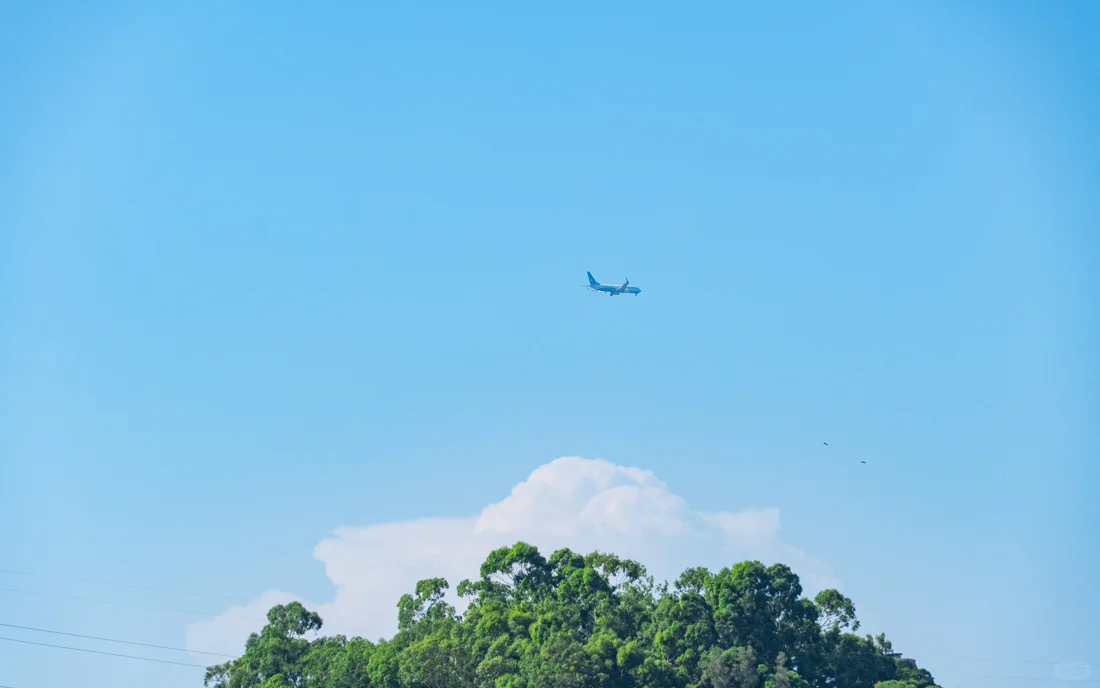 说一次想走就走的旅行-鼓浪屿