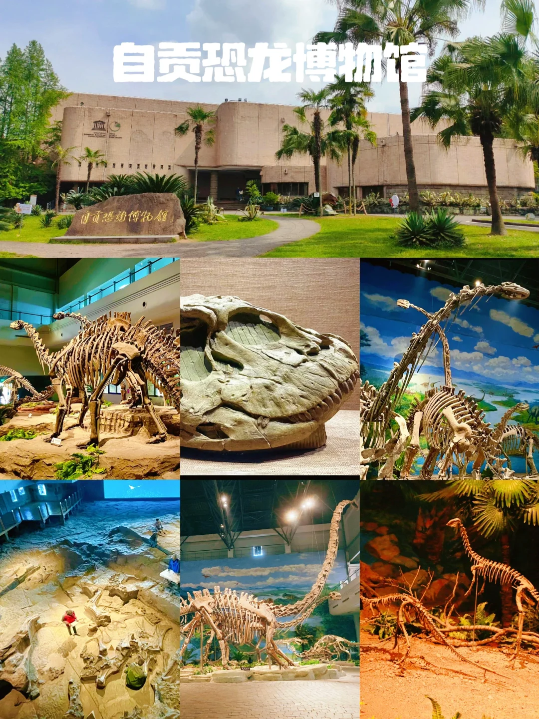 【十大必逛博物馆】🌟带娃必看！暑假旅游必去