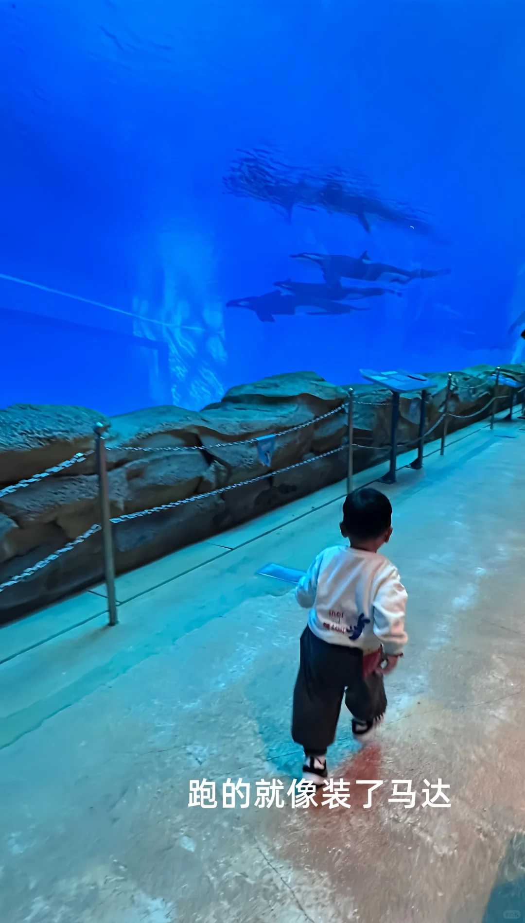 2岁娃长隆飞船乐园，随性游～