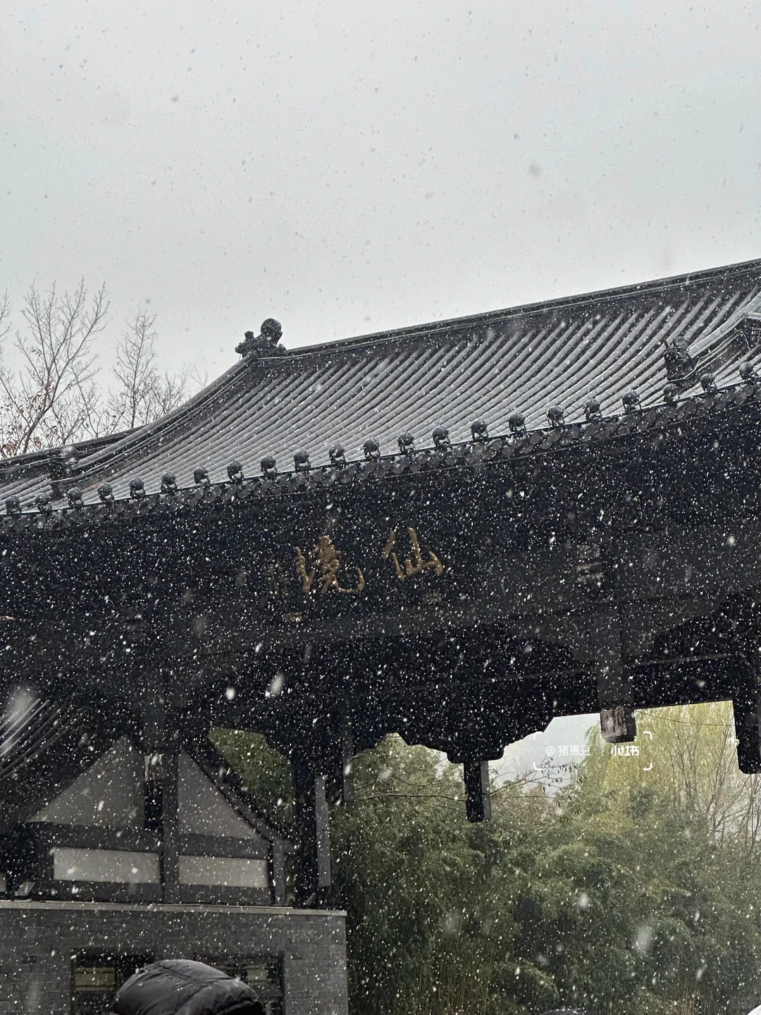 12🈷️！冬天的连云港！怎么玩！怎么吃！