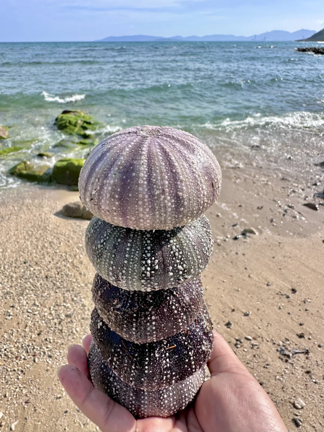 今年寒假，我只带娃去一个地方：陵水❗️