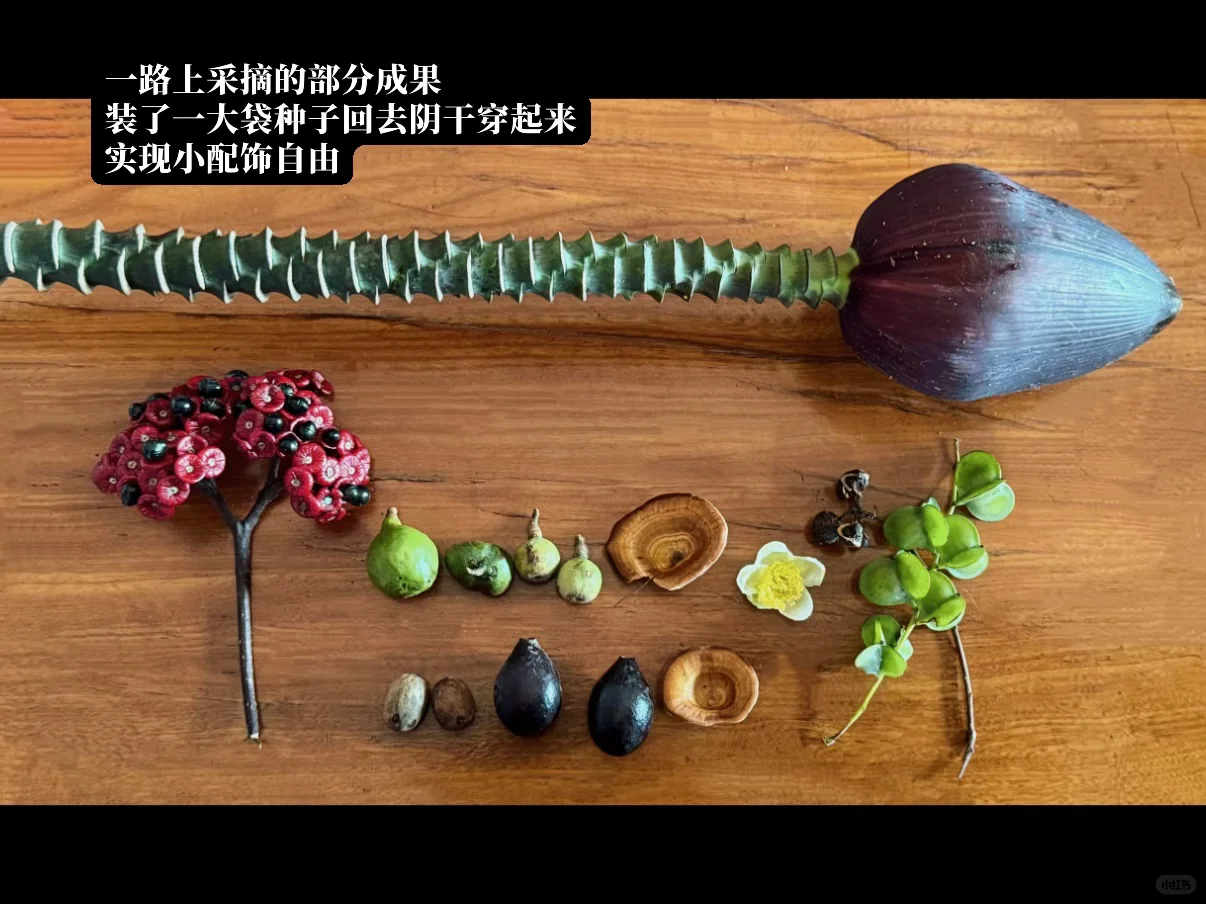 本地人带玩就是景迈山最好的体验方式