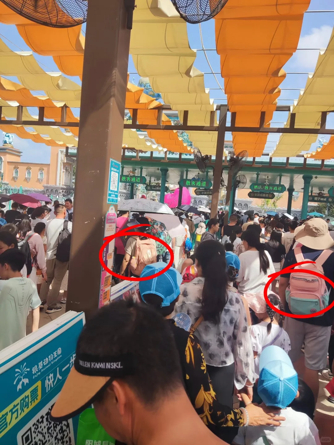 银基动物王国会惩罚每一个背包的人……