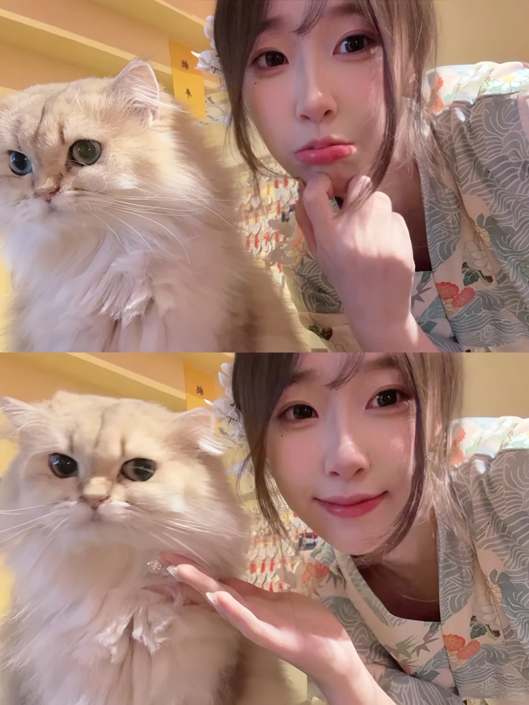 12月来南京旅游请找我（地陪版）