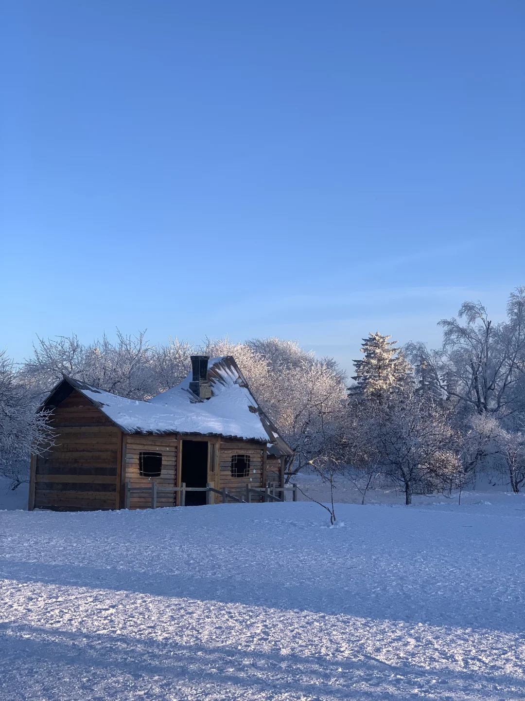 来雪岭玩千万别坐雪地摩托和马拉爬犁！！