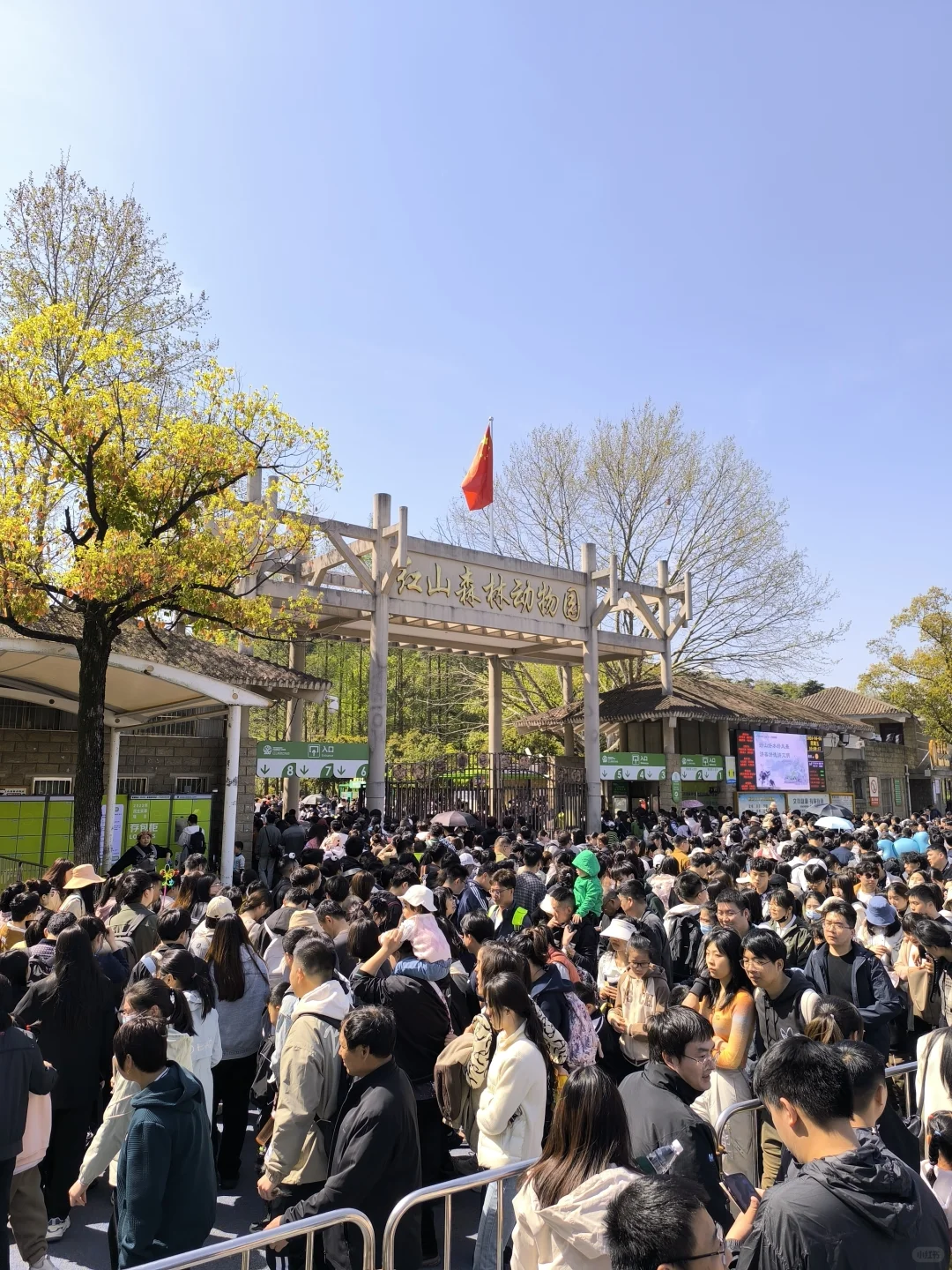 💥南京免费玩一年！但是景区竟然缩水啦～