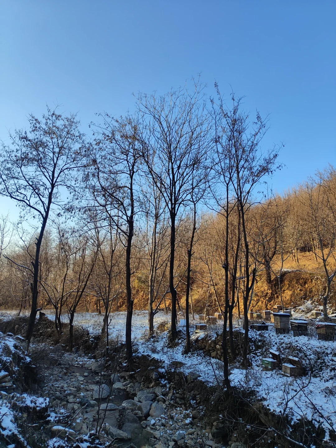 12.13徒步玩雪0元！玩美了！