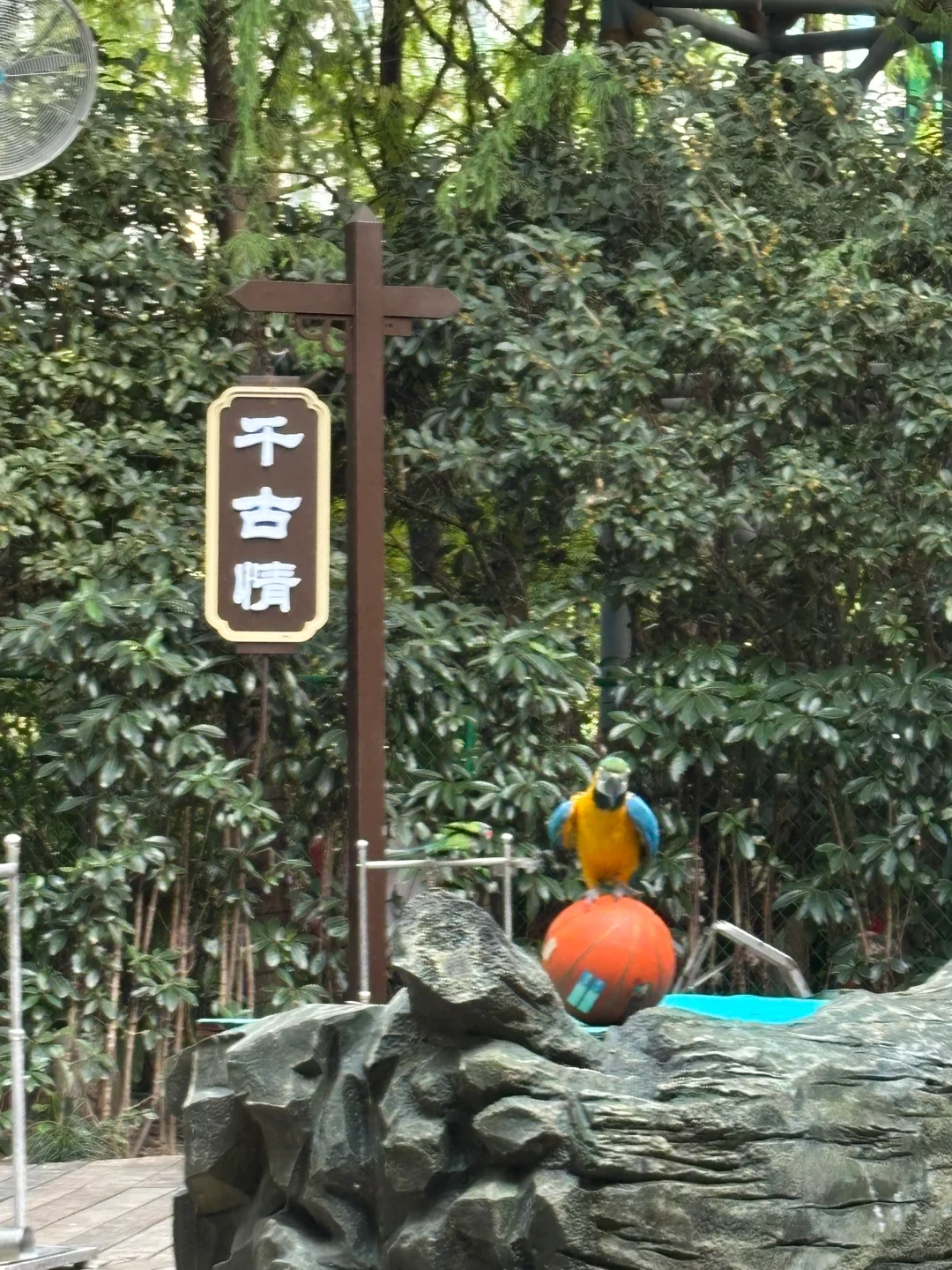 救命！这景区太懂年轻人了😎