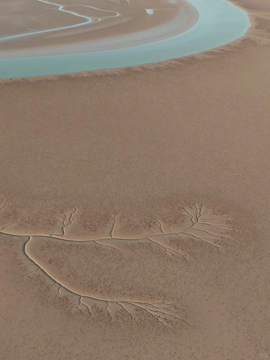 迄今为止 ，山东我最喜欢的小城出现了！！！