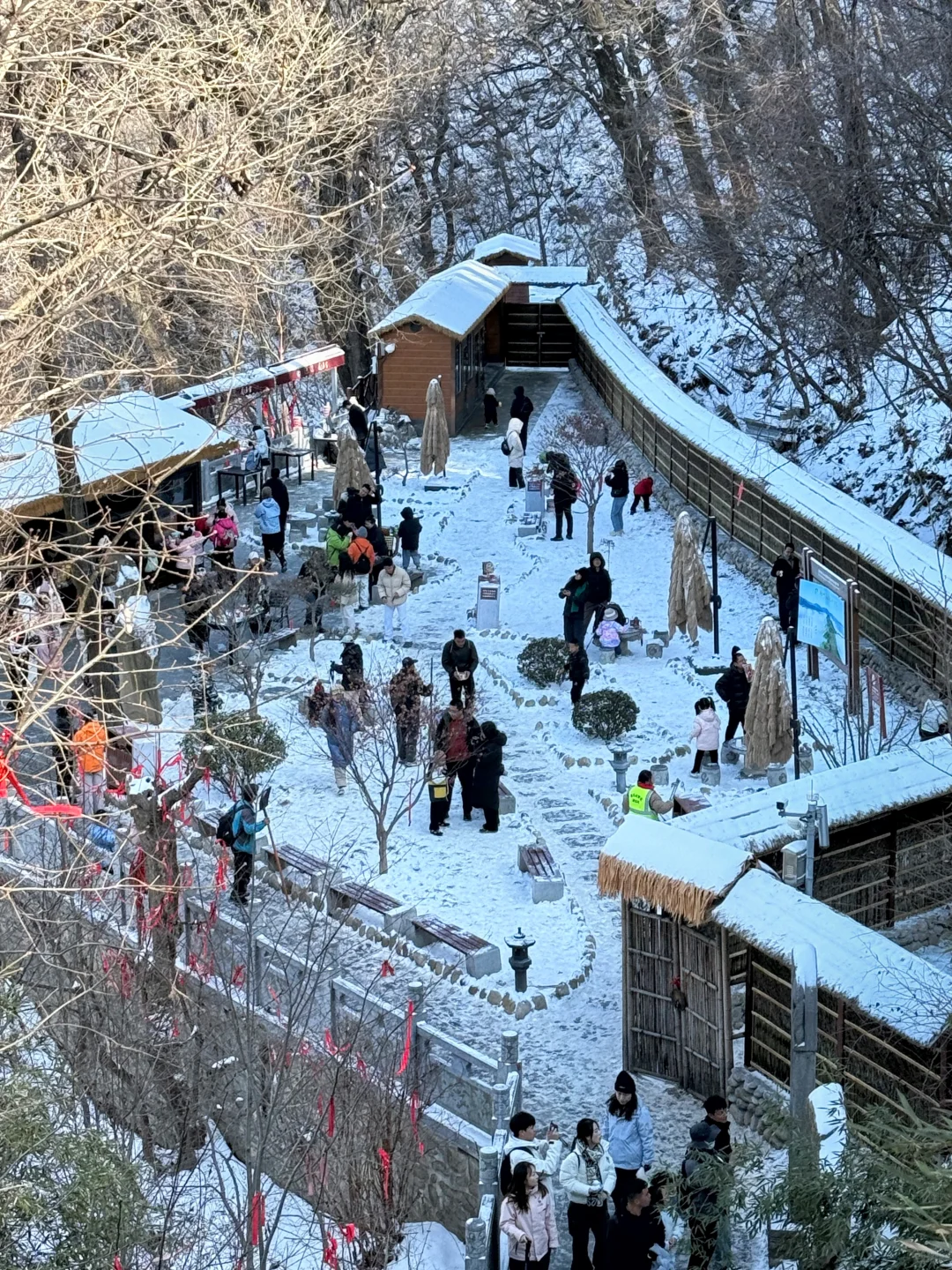 🚗西安周边游｜爬山⛰️玩雪❄️撸猫🐈走起‼️