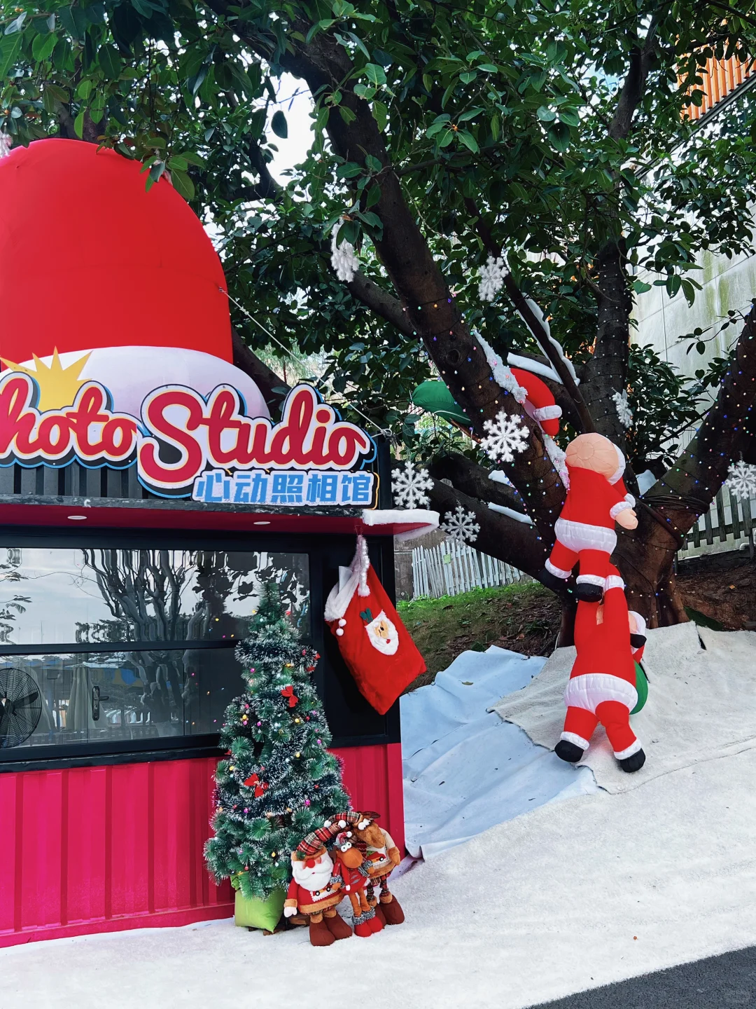 小胖兔来心动乐园啦！这也太有圣诞氛围了啊