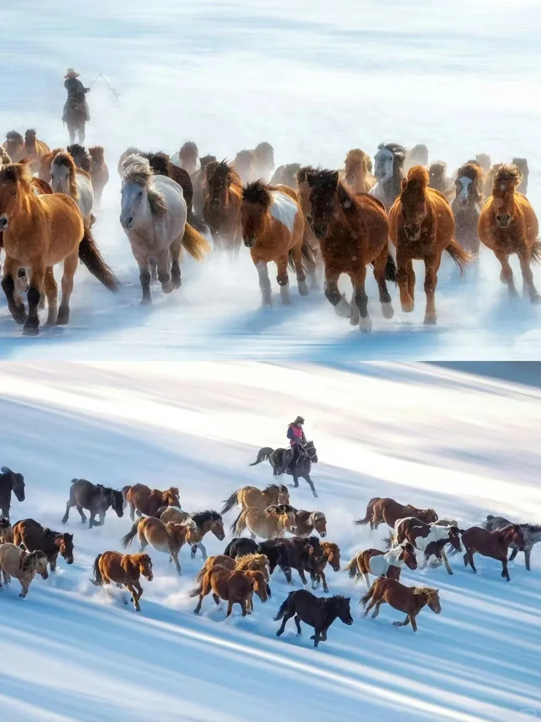 草原美食+纯玩|乌兰布统攻略