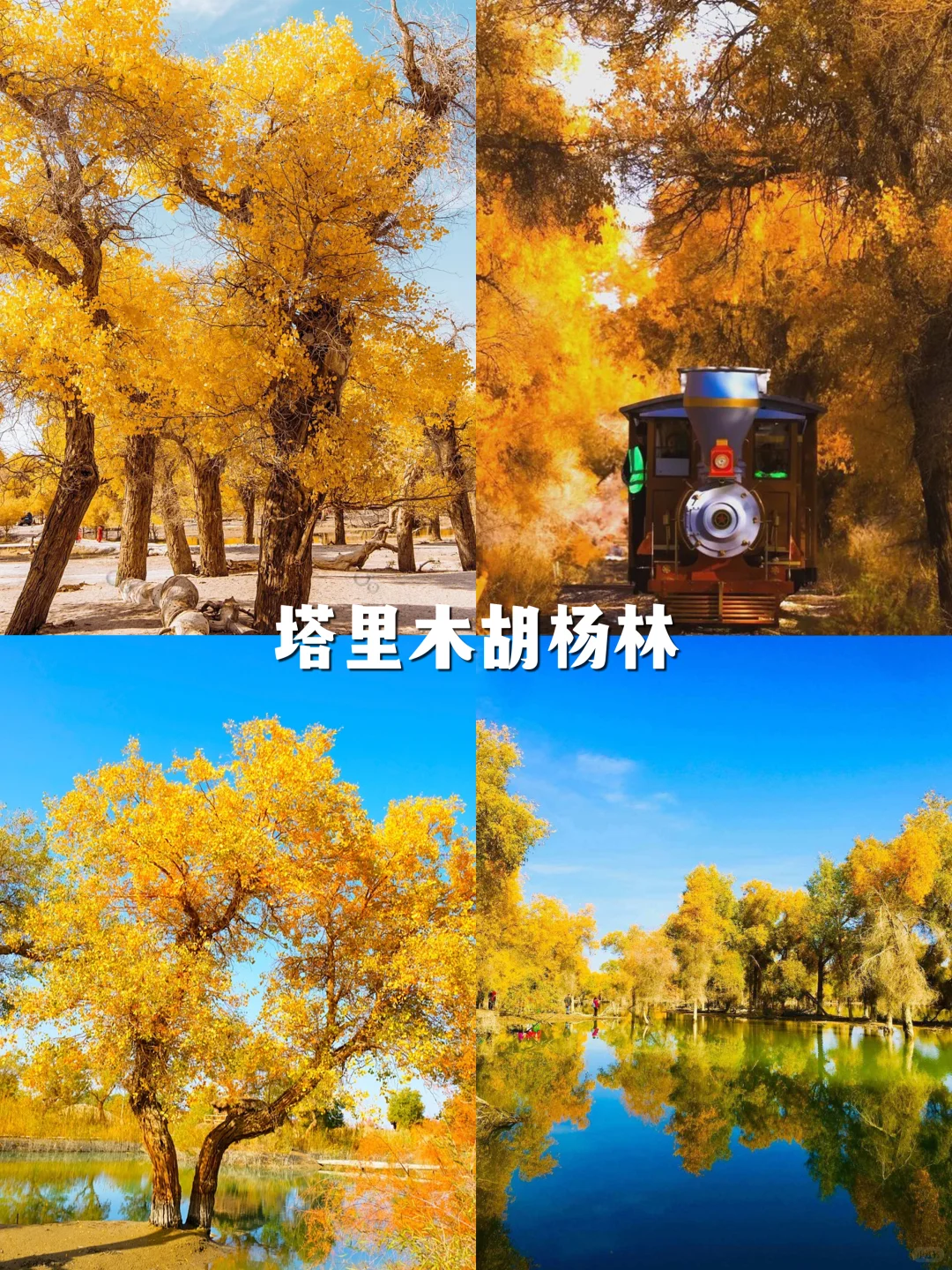 新疆必去的12大景点，都去过才算圆满🔥