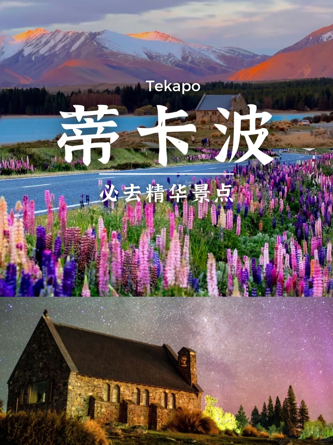 新西兰南岛8天保姆级攻略❗照着玩不绕路✨