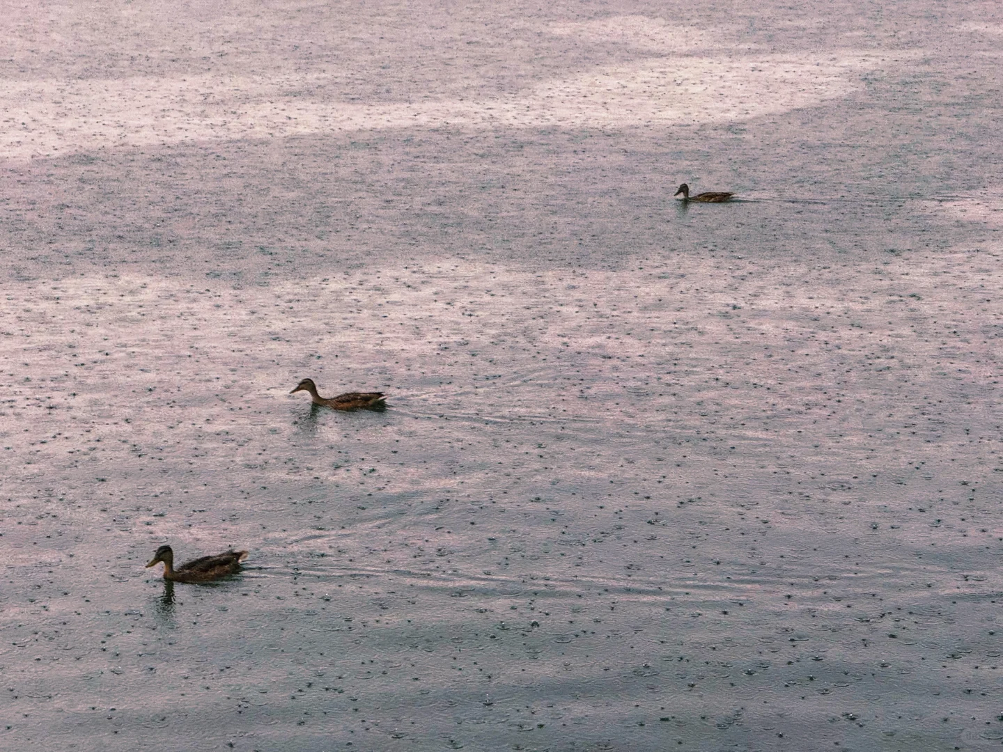 🌿 避暑山庄｜穿越300年，赴一场皇家避暑之约