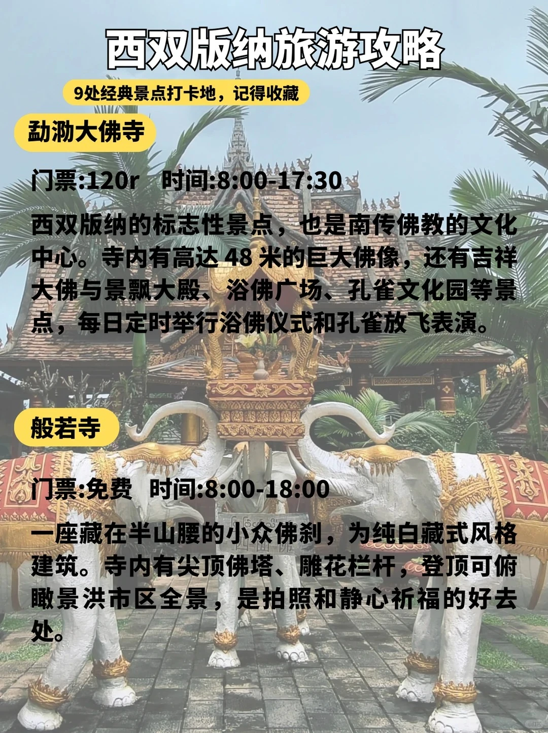 版纳这9个景点必打卡🔥第一来直接玩✨