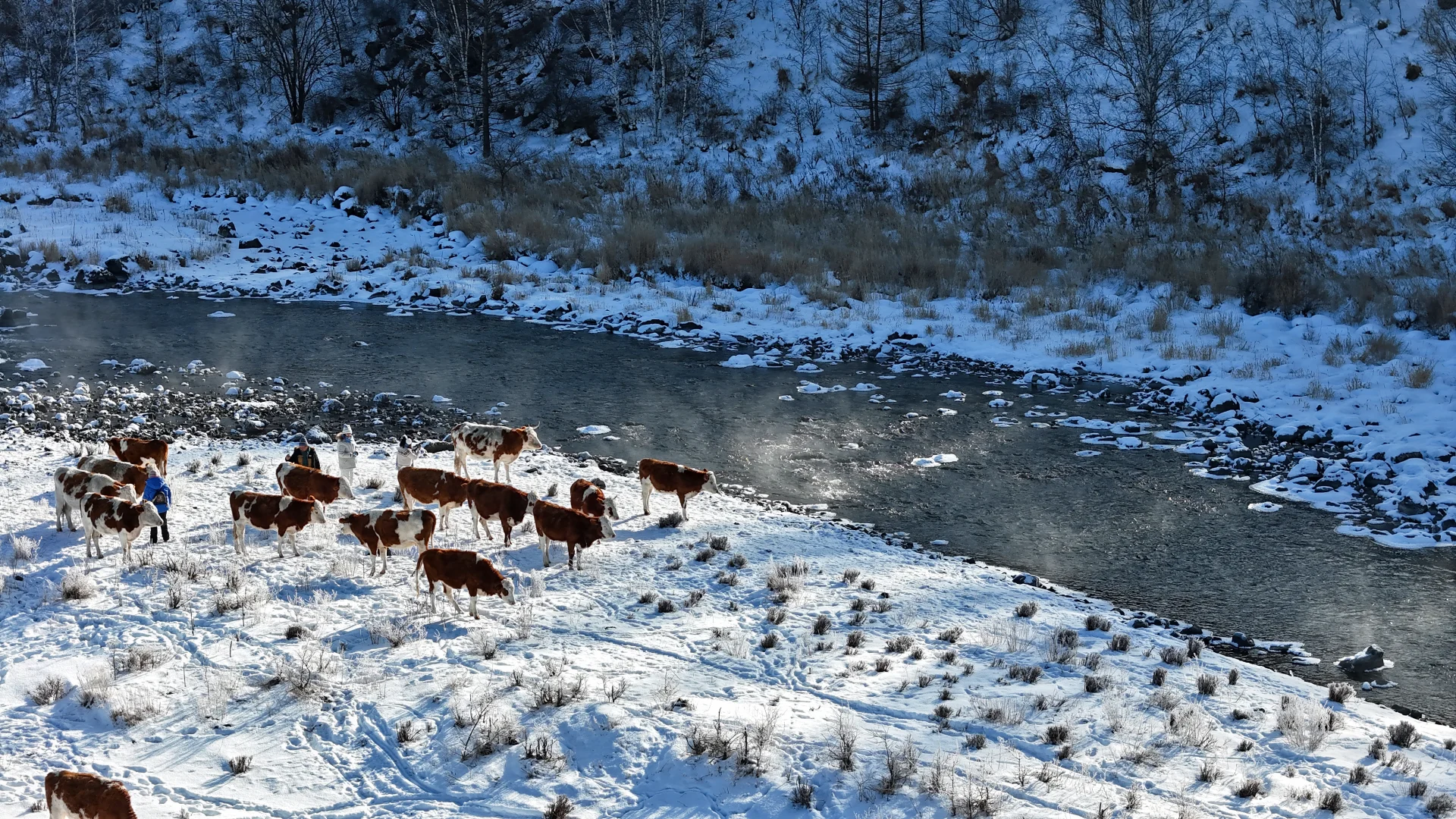 2025 年元旦好去处🎉阿尔山三日保姆级攻略