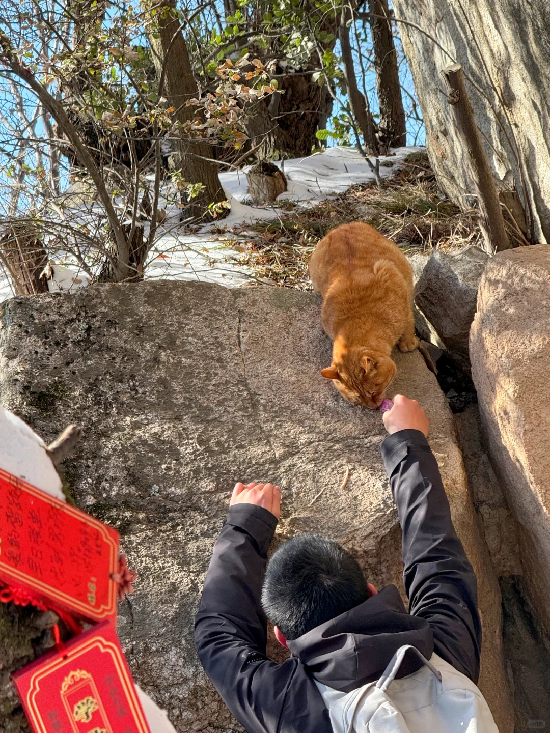 🚗西安周边游｜爬山⛰️玩雪❄️撸猫🐈走起‼️