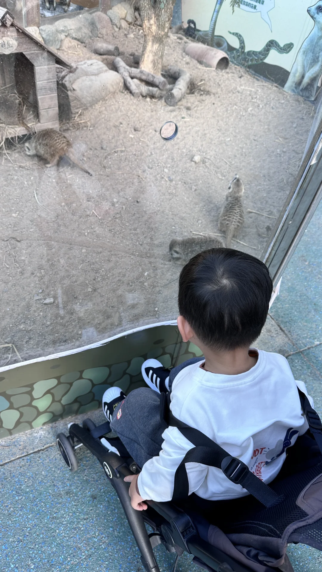 2岁娃长隆飞船乐园，随性游～