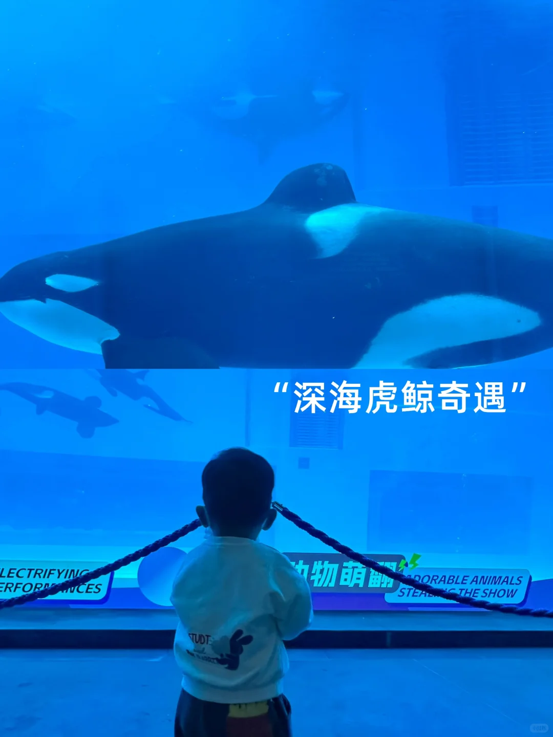 2岁娃长隆飞船乐园，随性游～