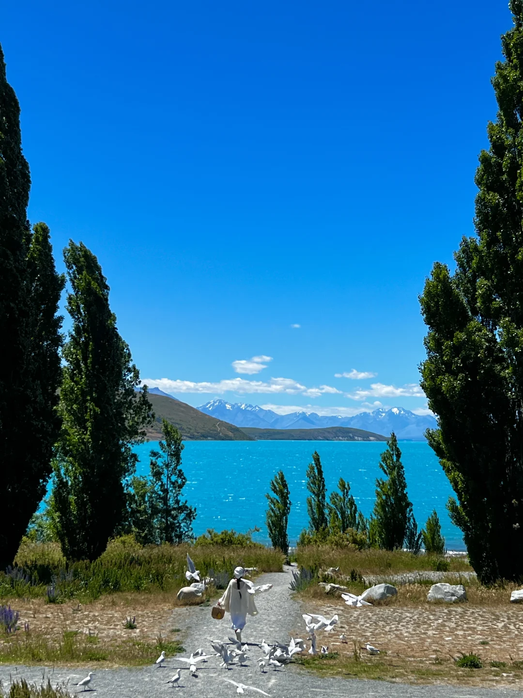 新西兰的每一帧🌈都让live图变得更有意义