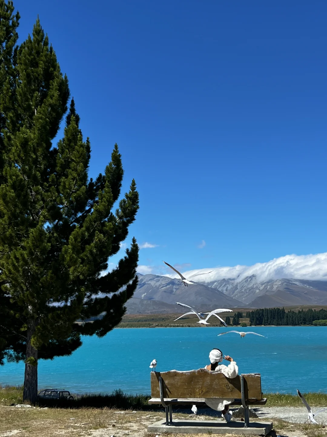 新西兰的每一帧🌈都让live图变得更有意义
