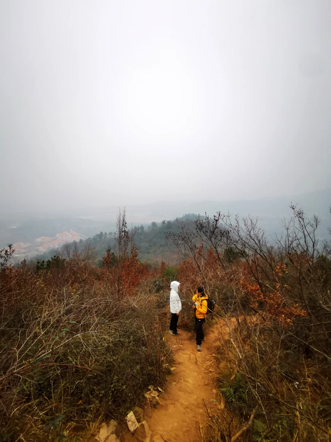 武汉徒步被问爆的小众治愈路线🌿古寺灵树