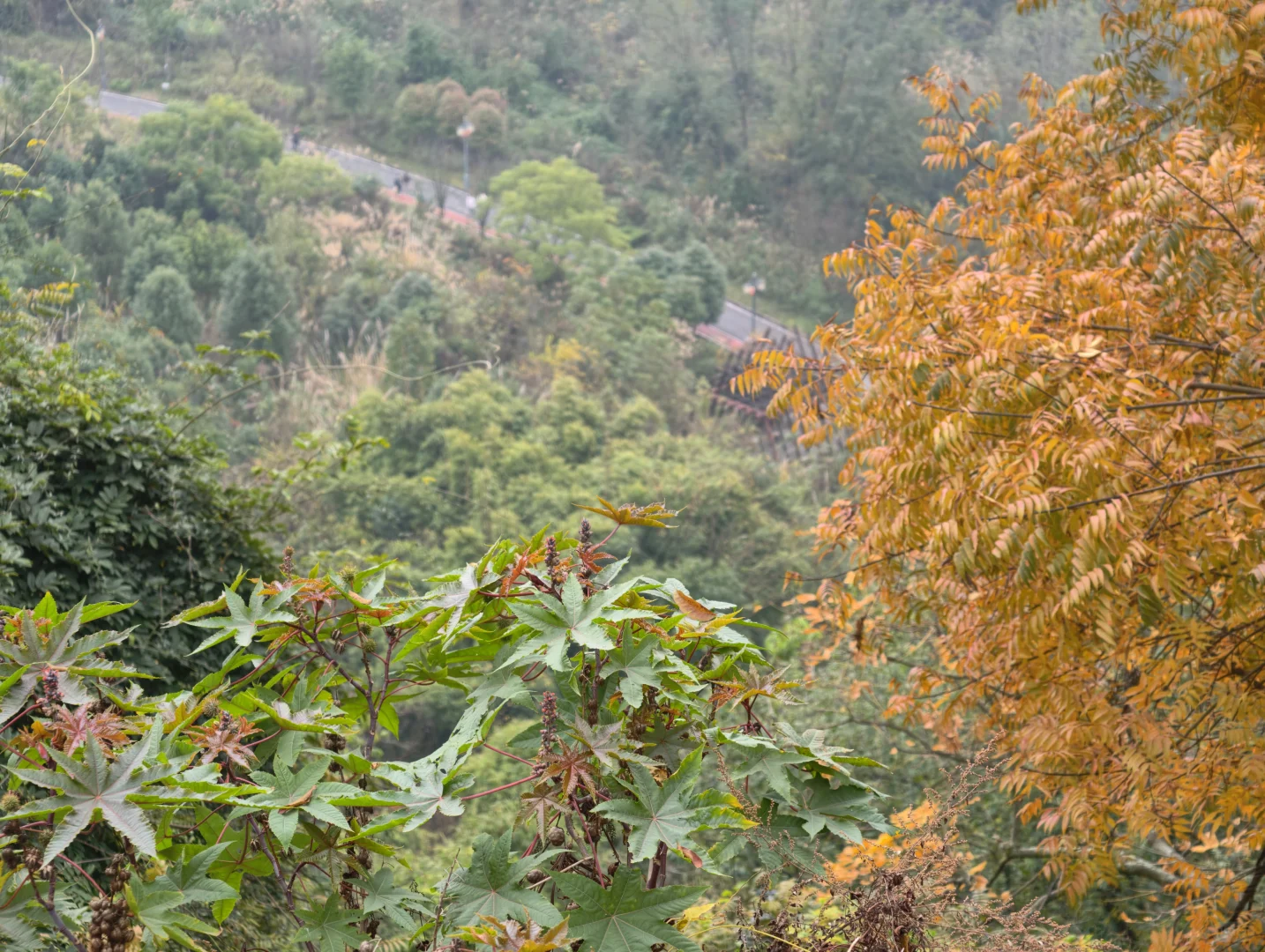 彭祖山轻松领取奖牌✊️鸡蛋＋1