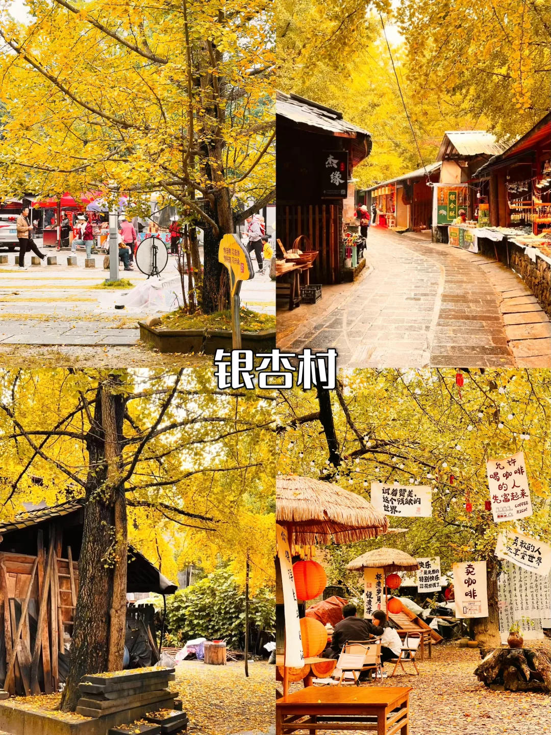 🍂滇西3城漫游记|秋季的腾芒瑞美到窒息