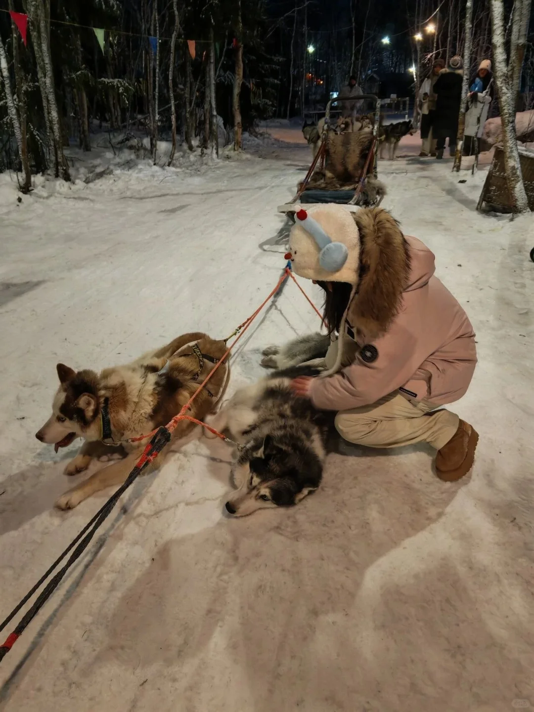 ✨俄罗斯10日三城记❄️这篇攻略超详细！