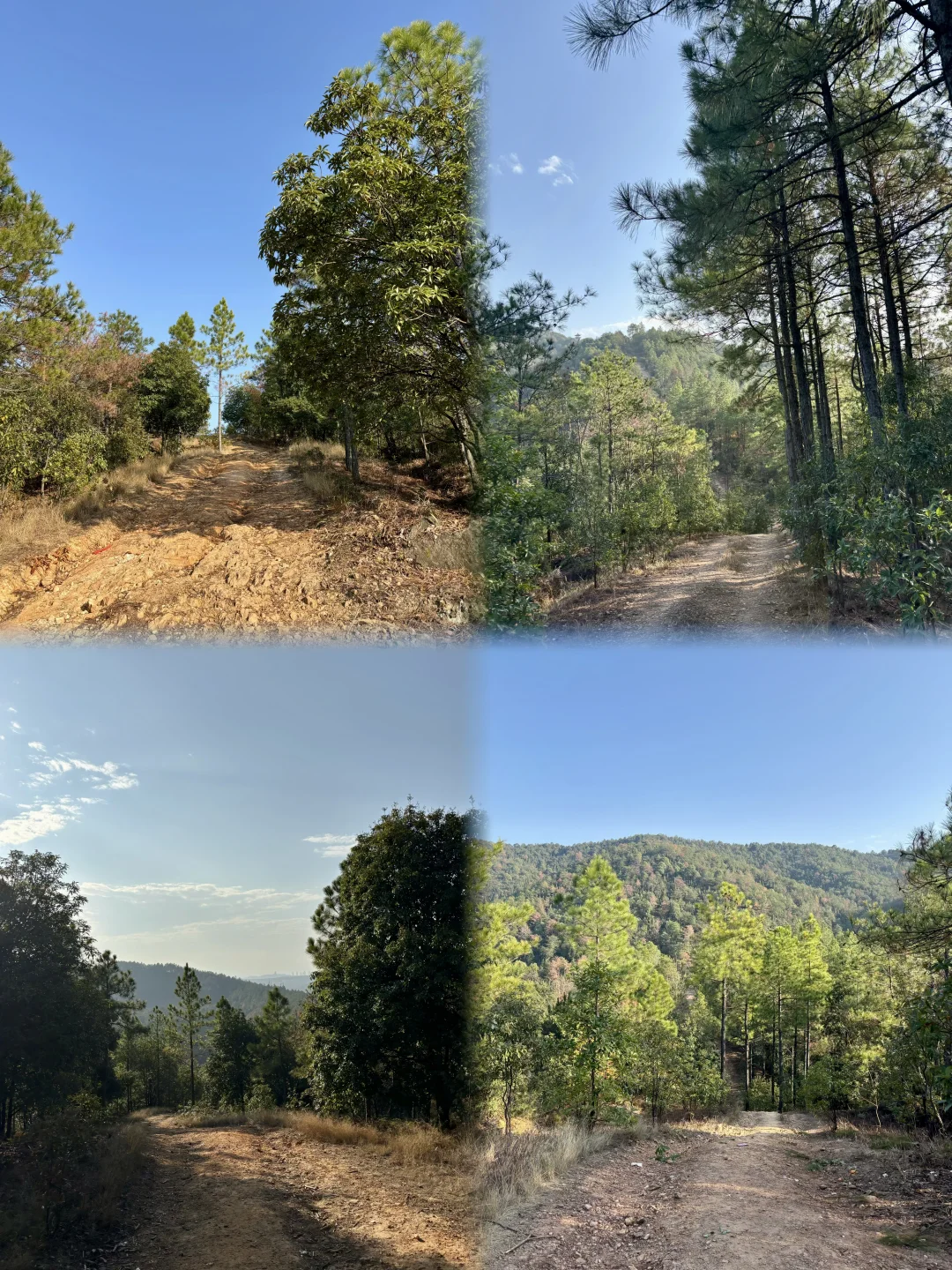 ⛰️开局一身轻 装备全靠捡🌚