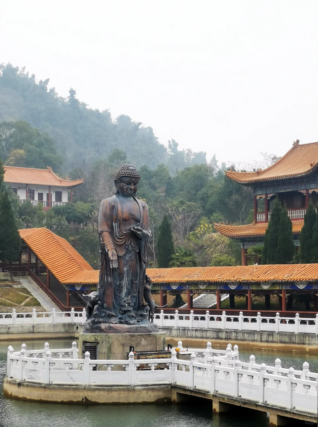 武汉徒步被问爆的小众治愈路线🌿古寺灵树