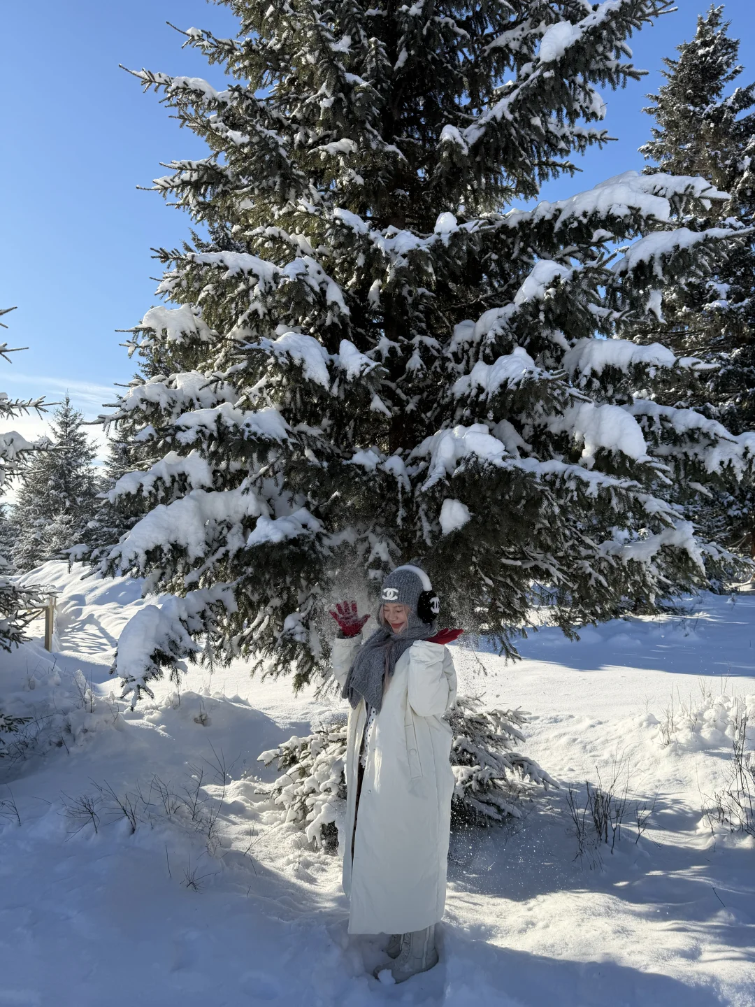 为了这18张图，我特地飞了一趟阿勒泰（附攻略