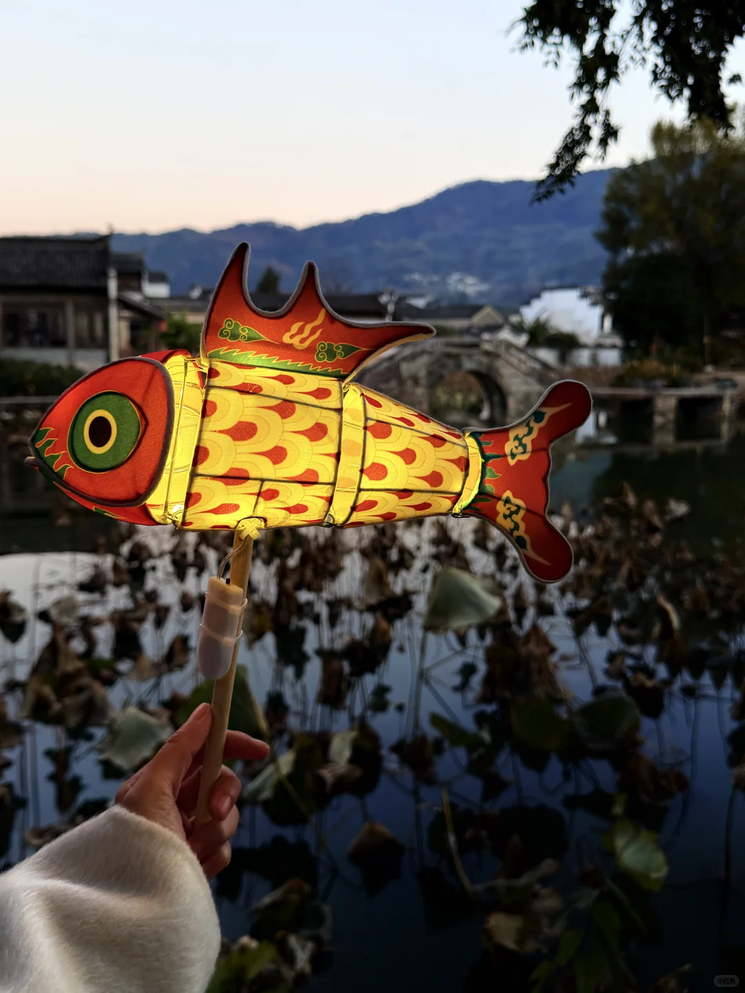 呈坎|你不用尽全力宣传你糊涂呀❗️❗️