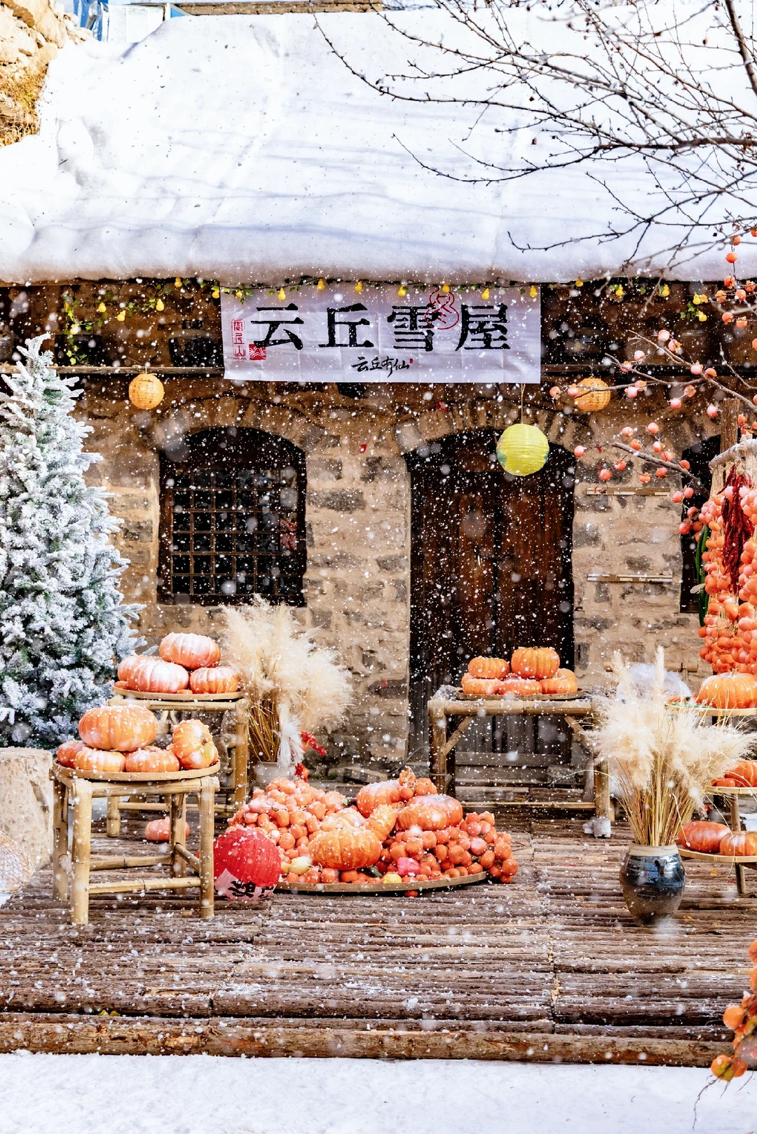 明天就冬至啦！你的冬日打卡地已更新！