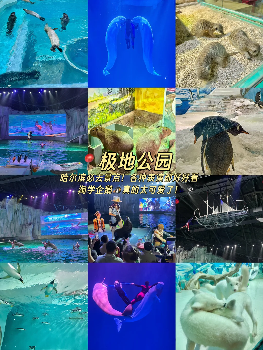 吐血整理…哈尔滨三天两晚逛吃攻略！