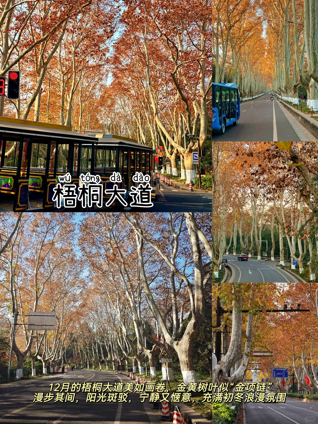 南京📍两日游，懒人版不走回头路逛吃攻略