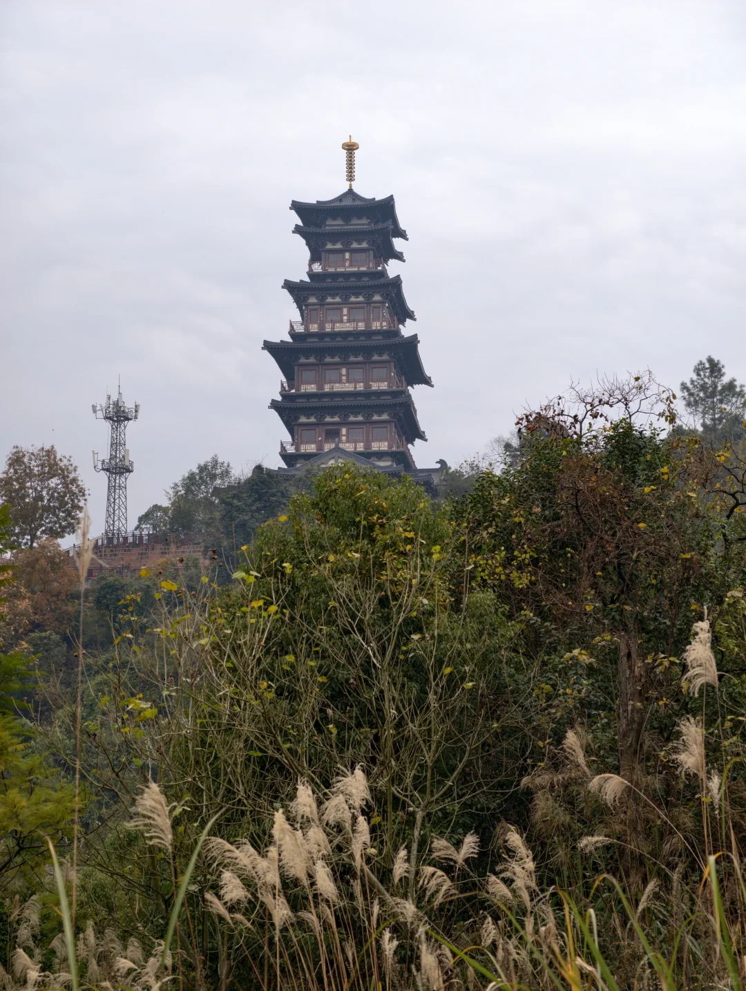 彭祖山轻松领取奖牌✊️鸡蛋＋1