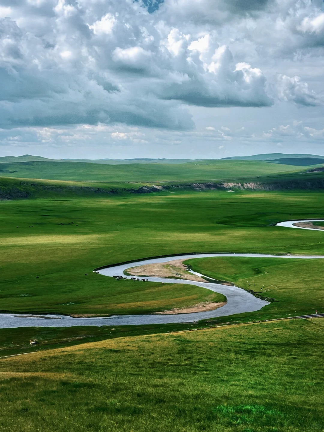 夏天总要去一次大草原吧🐎