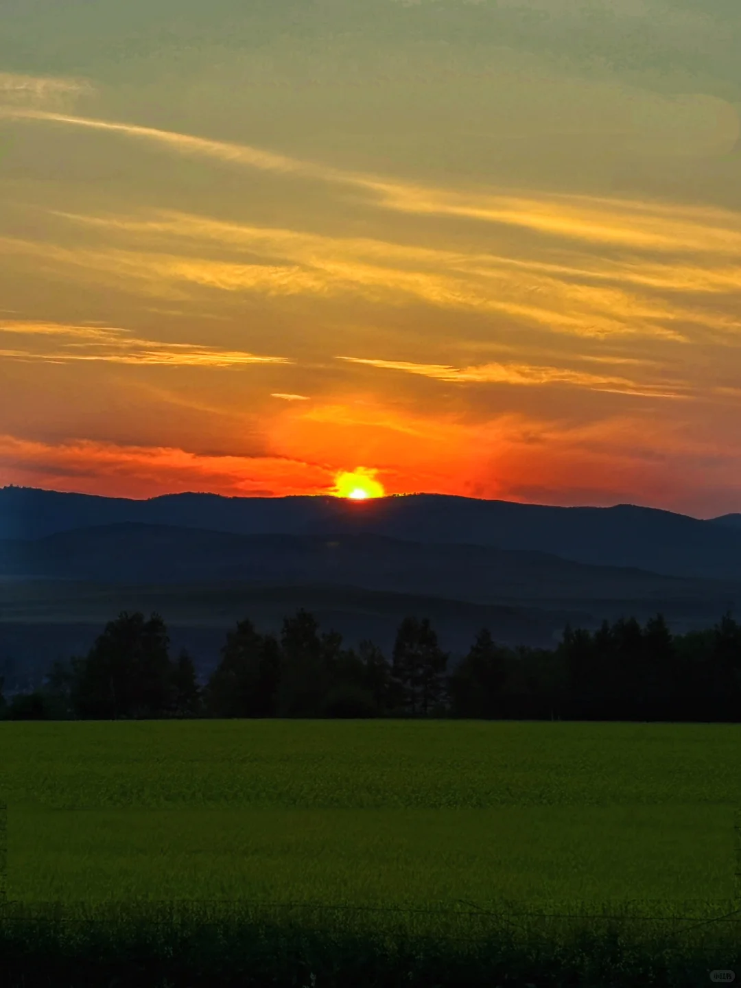 夏天总要去一次大草原吧🐎