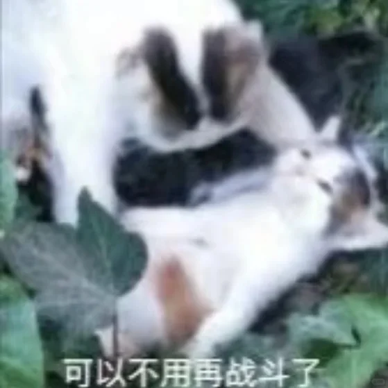 求徽州旅游攻略