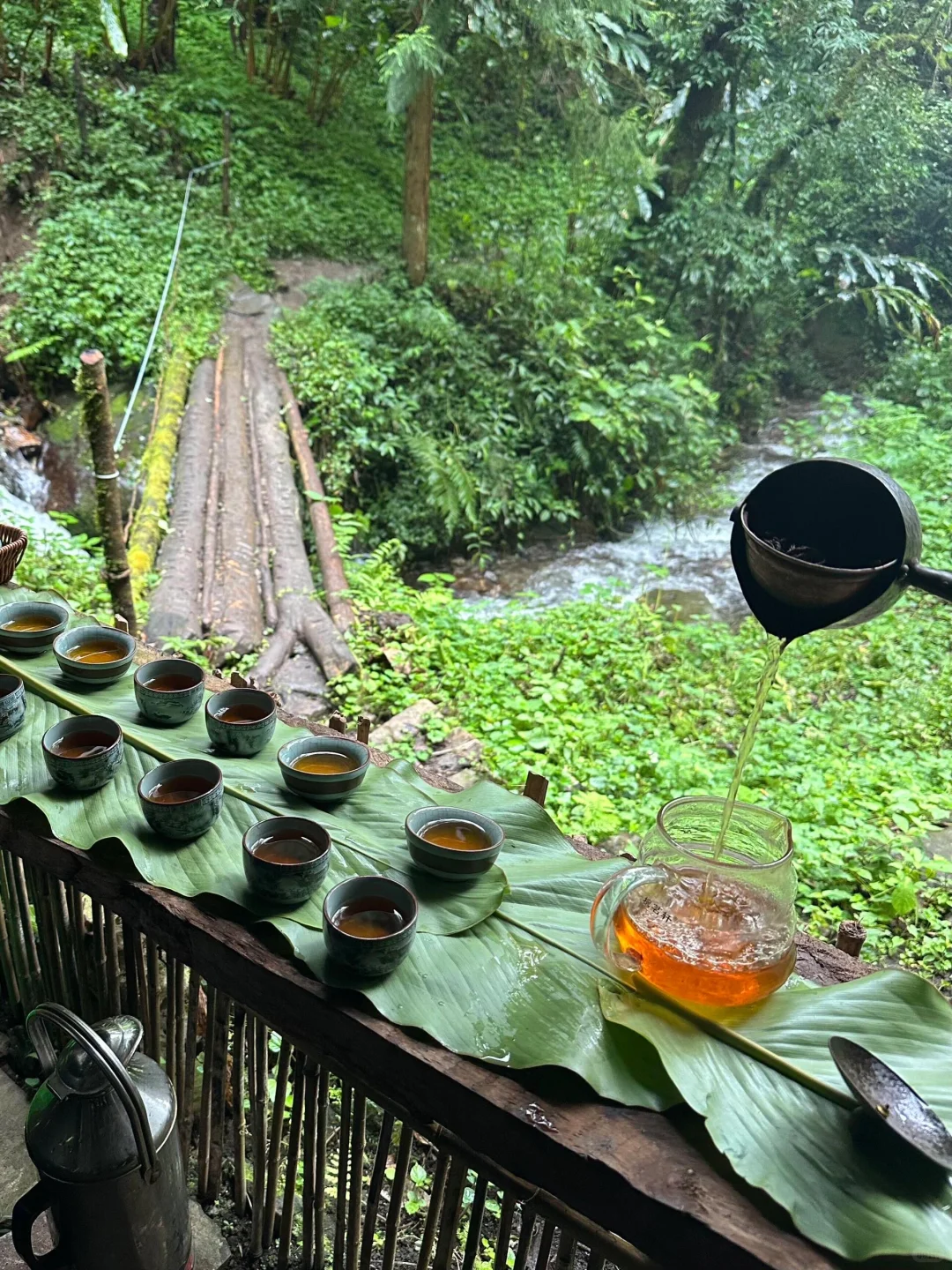 为了这国内唯一古银杏村，也要去一次腾冲‼️