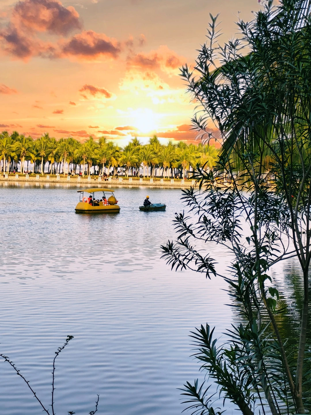 以为珠海很美了，直到我来了湛江