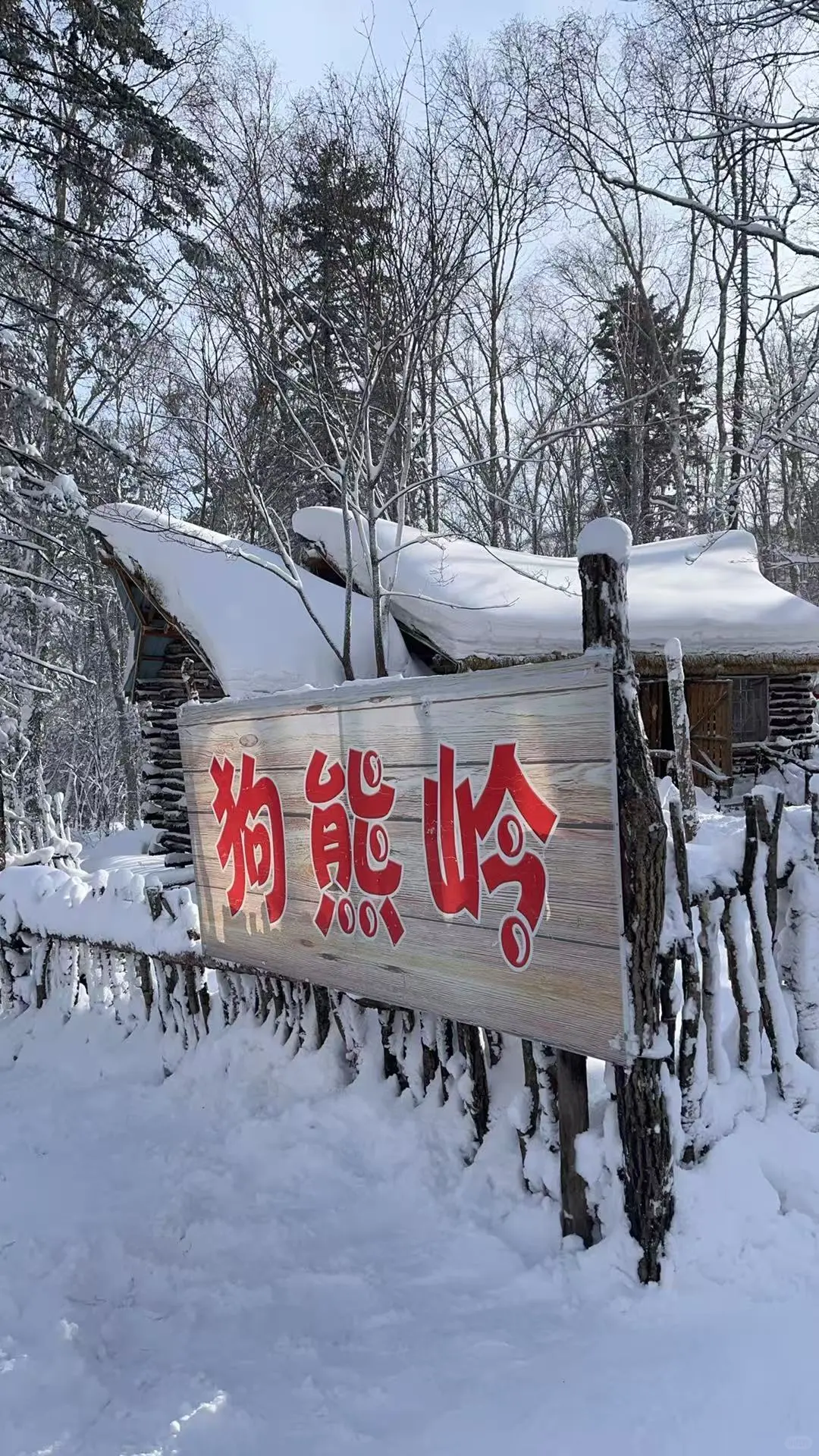 哈尔滨旅游推荐官、哈尔滨旅游攻略