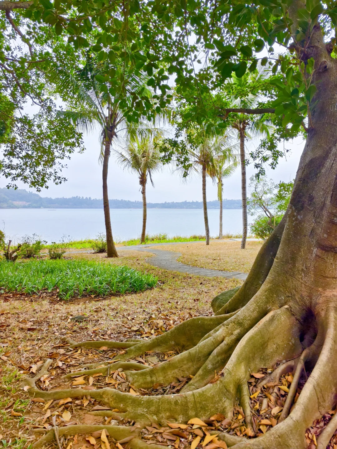 以为珠海很美了，直到我来了湛江