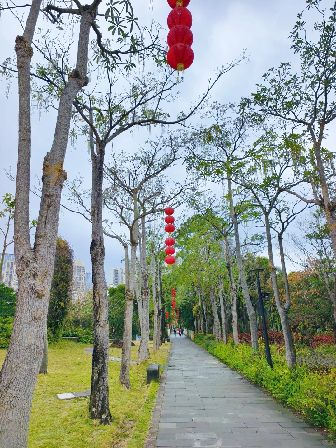 以为珠海很美了，直到我来了湛江