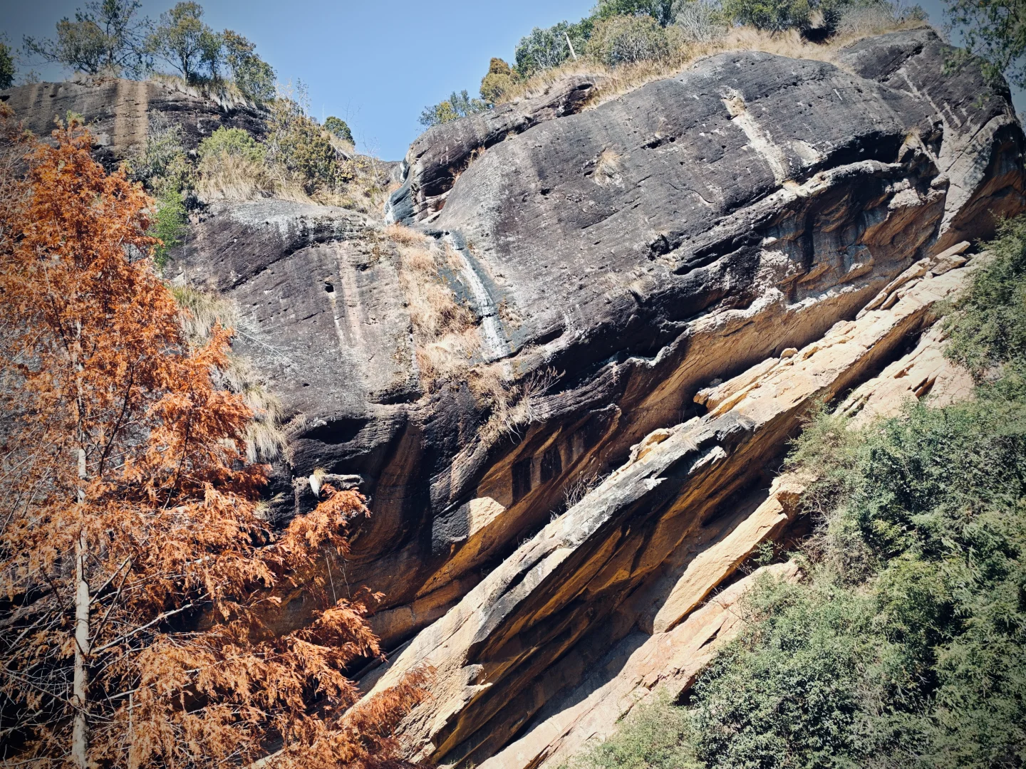武夷山茶狗随行攻略