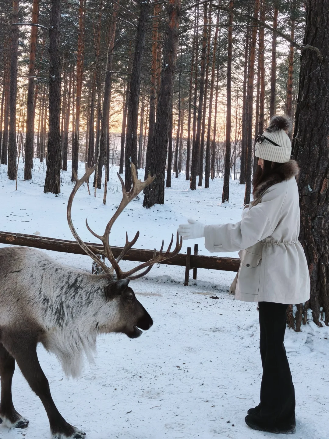 📍黑龙江｜大学生穷游攻略来咯✌️