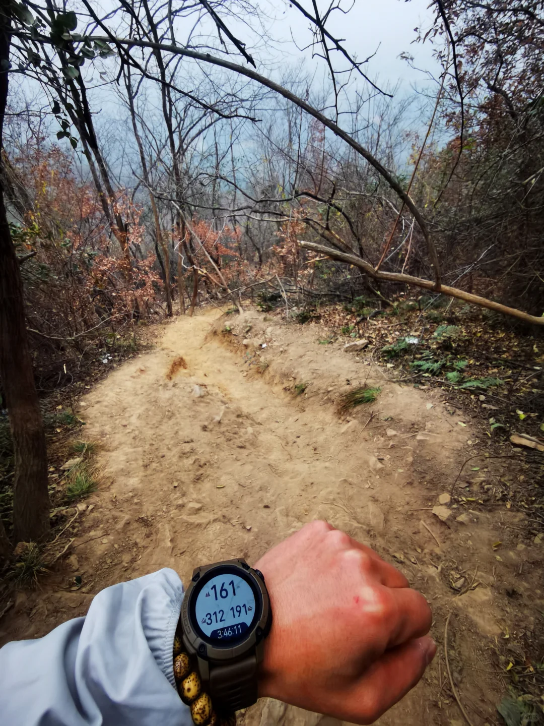 武汉徒步被问爆的小众治愈路线🌿古寺灵树