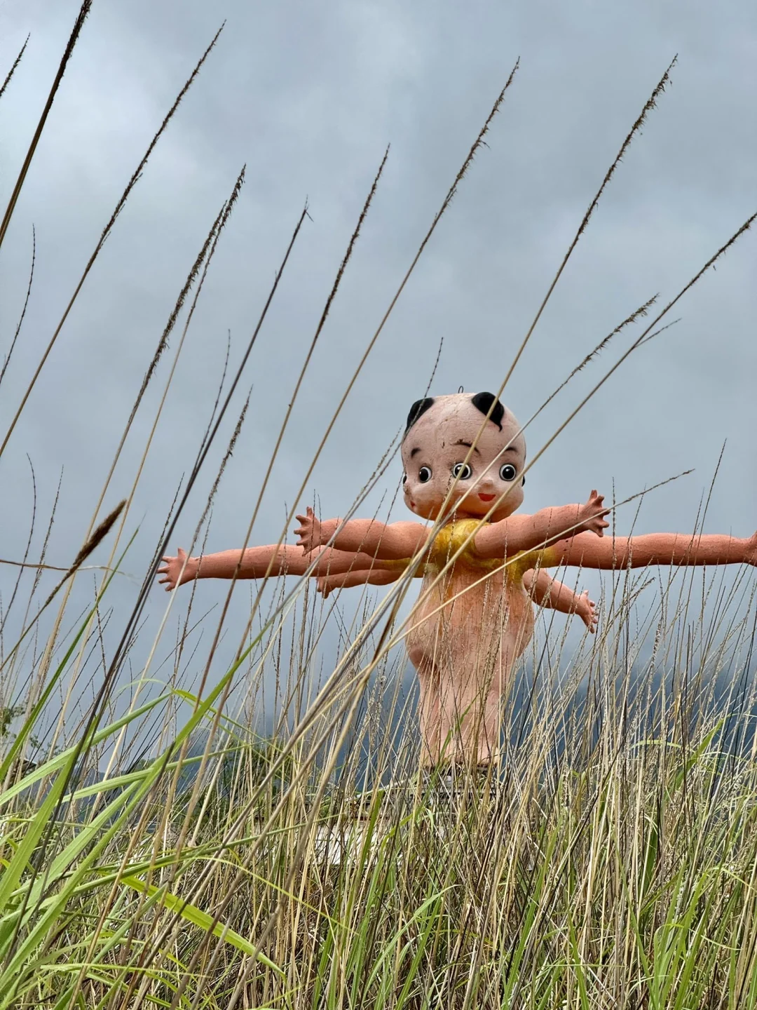 丽江荒野之国争议实测！阴天晴天两世界✨